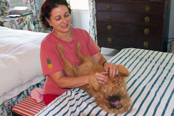 Amma Therapy Cancer Treatment