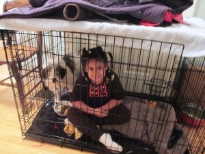 ???????????????????????????????